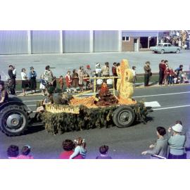 Havelock North Scouts 1964