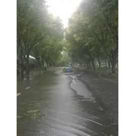 Flooded Sylvan Road 2023 