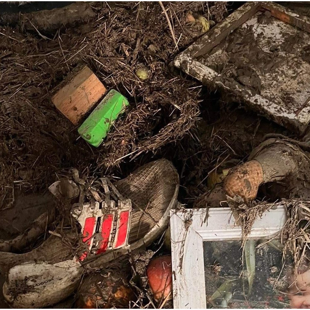 Dagg Collection