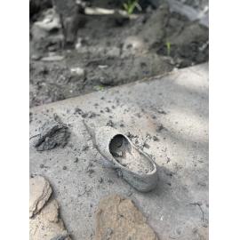 Shoe in Silt