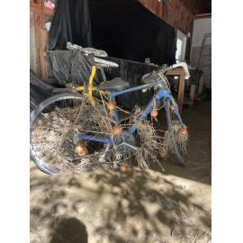 Bicycle Covered in Debris