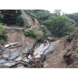 Kereru Gorge 