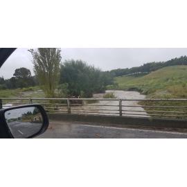 Okawa Stream 