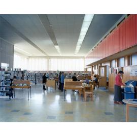 Circulation Desk Hastings Library