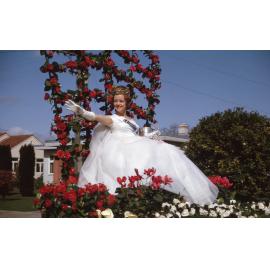 Nicola Hearn Blossom Queen 1964
