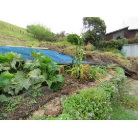 Buried Vegetable Garden