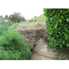Garden Path in Havelock North