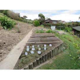 Restored Garden Havelock North