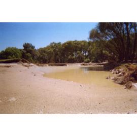 Ngaruroro River Bank