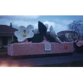 Hawke's Bay Farmers Float 1954