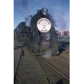 Hastings Blossom Festival Special 