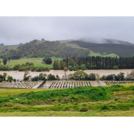 Flooded Tukituki Valley 