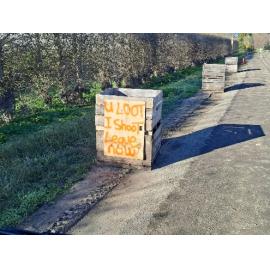 You Loot, I Shoot Sign