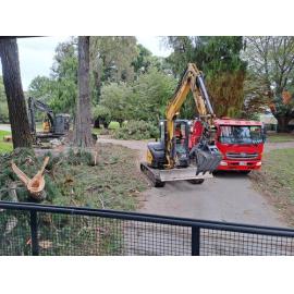 Frimley Park Hastings