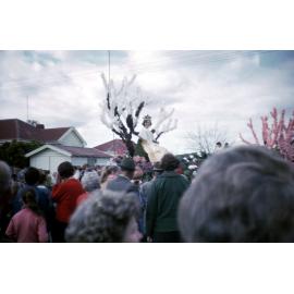 Blossom Queen Colleen Bishop 1966