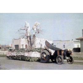 Pakowhai Pests Float 1951