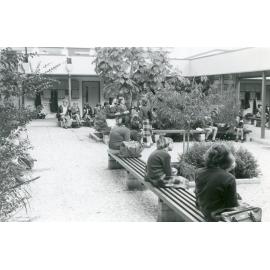 HNHS Students in Courtyard, 1978