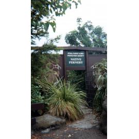 Native Fernery at Cornwall Park