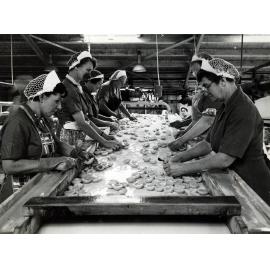 Checking Peaches at Wattie's 