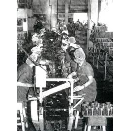 Canning Asparagus at J.Wattie Canneries 