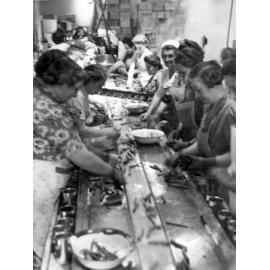 Sorting Asparagus at Wattie's 