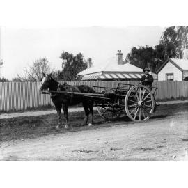 Horse and Cart