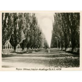 Tourist Photo Poplar Avenue Hastings