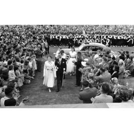 Commerce Queen Escort