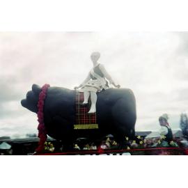Dannevirke Blossom Entry 1972