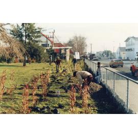 Hastings Central School Planting