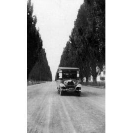 Poplar Avenue Hastings