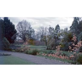 Cornwall Park Hastings