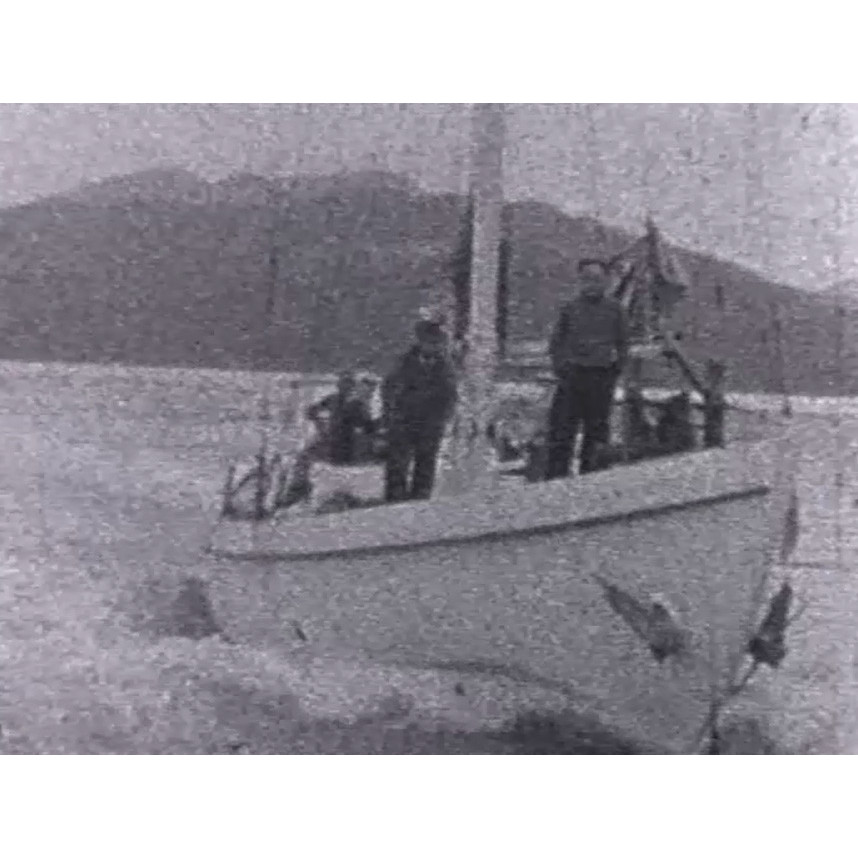 Whales and Blossom Parade 1952