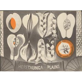 The Heretaunga Plains