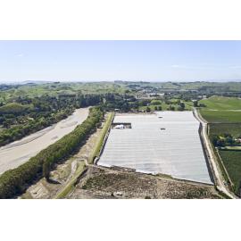 Kiwifruit Orchard at Moteo