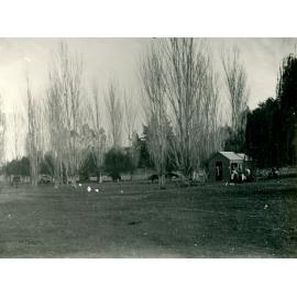 Golf Links, Karamu Road Hastings