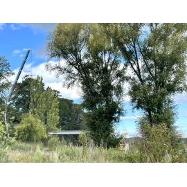 Moteo-Puketapu Bridge Construction 