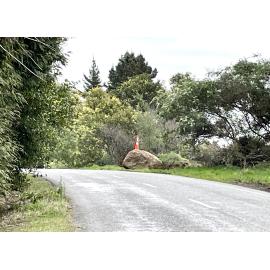 Rock on Roadside