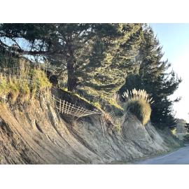Broken Fence on Puketitiri Road