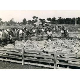 Stortford Lodge Sale Yards