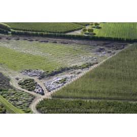 Apple Orchard with Plastic 