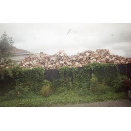 Woodpile and Overgrown Fence