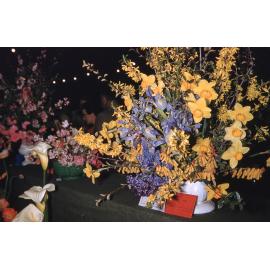 Flower Show Entries and Winner