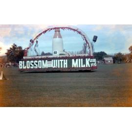 Blossom with Milk 1957