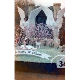 Hawkes Bay Farmers 1957