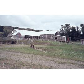 Maraekakaho Station Woolshed 