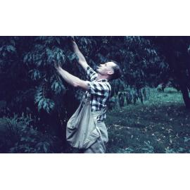 Fruit Picking