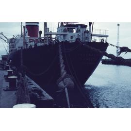 Canberra Star at Napier Port