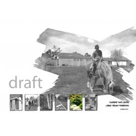 Flaxmere Town Centre Urban Design Framework: October 2007 (draft)