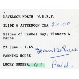 WDFF Slides and Afternoon Tea Ticket